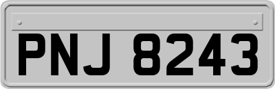 PNJ8243