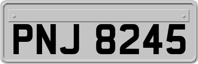 PNJ8245