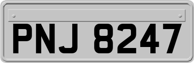 PNJ8247