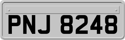 PNJ8248