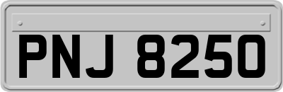 PNJ8250