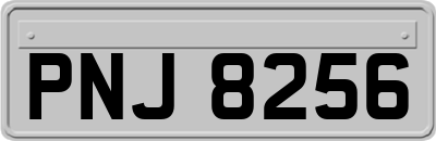 PNJ8256