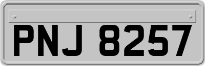 PNJ8257
