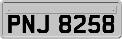 PNJ8258
