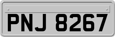 PNJ8267