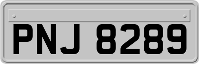 PNJ8289