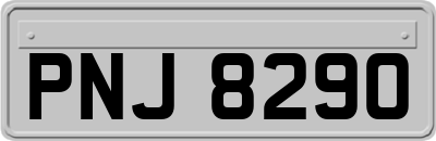PNJ8290