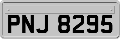 PNJ8295