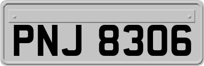 PNJ8306