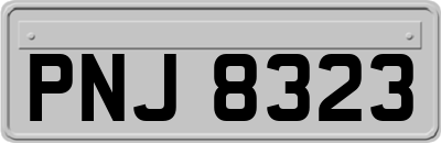 PNJ8323