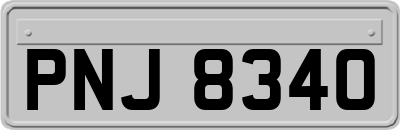 PNJ8340