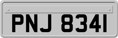 PNJ8341