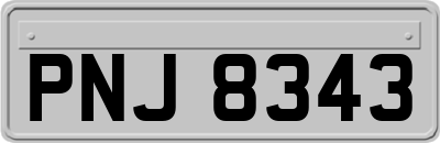 PNJ8343