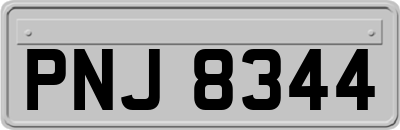 PNJ8344