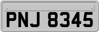 PNJ8345
