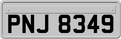 PNJ8349