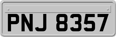 PNJ8357
