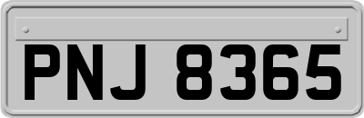 PNJ8365