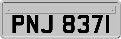 PNJ8371