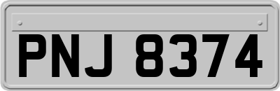 PNJ8374