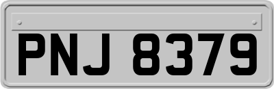 PNJ8379