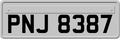 PNJ8387
