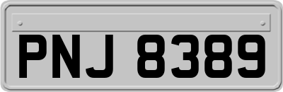 PNJ8389