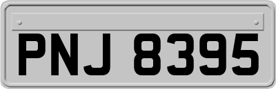 PNJ8395