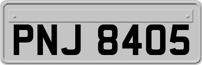 PNJ8405