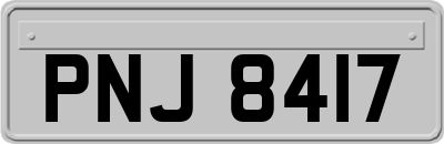 PNJ8417