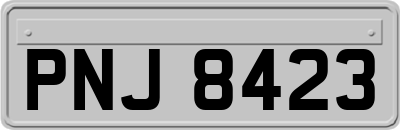 PNJ8423