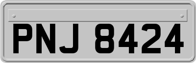 PNJ8424