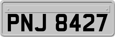 PNJ8427