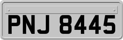 PNJ8445