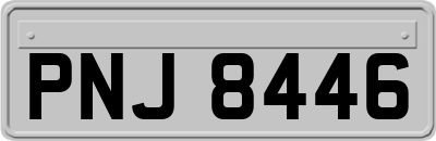 PNJ8446