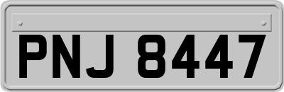 PNJ8447