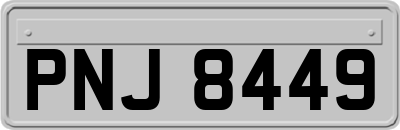 PNJ8449