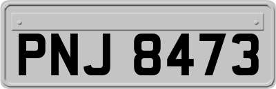 PNJ8473
