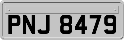 PNJ8479