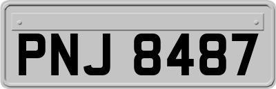 PNJ8487