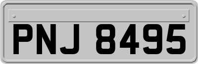 PNJ8495
