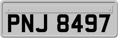 PNJ8497
