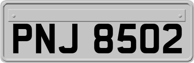 PNJ8502
