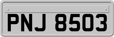 PNJ8503