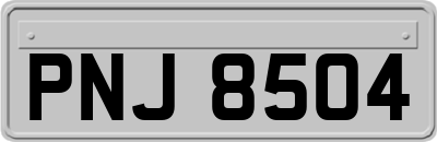 PNJ8504