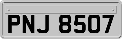 PNJ8507