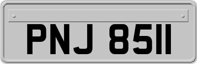 PNJ8511