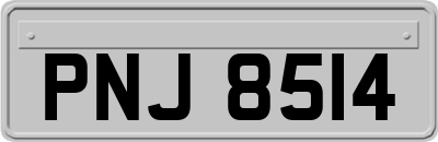 PNJ8514
