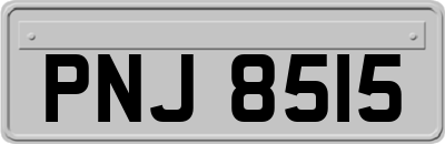 PNJ8515