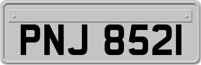 PNJ8521